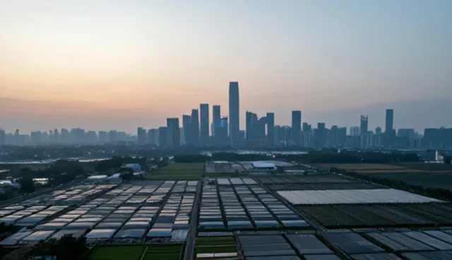 数据整合方案：供应信息发布如何提升黄页维护效率